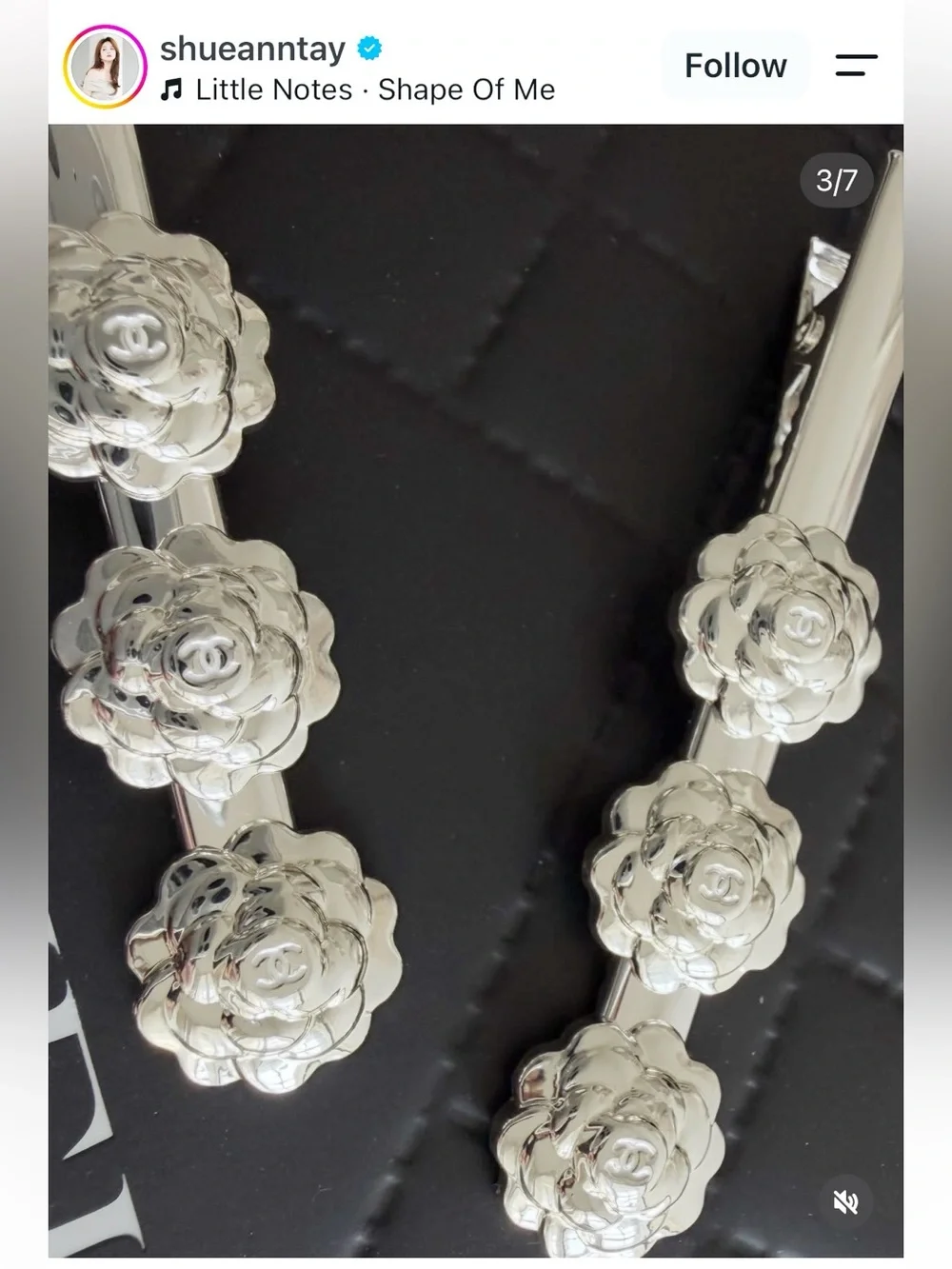 River Chanel Beauty Silver Floral Camellia Hair Clips (Set of 2)